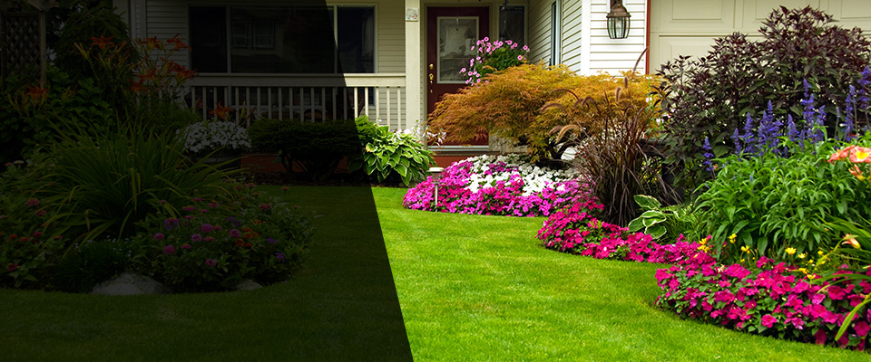 La Puente Landscapers