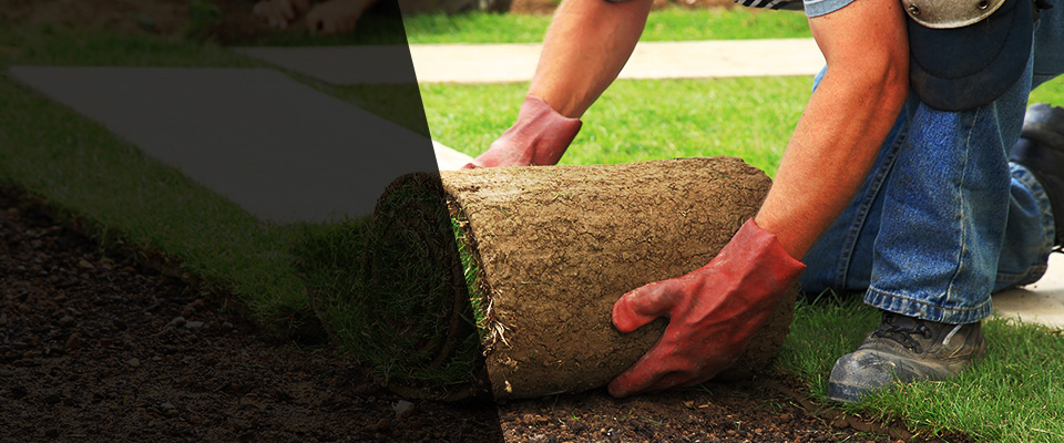 La Puente Landscapers